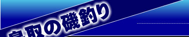網代渡船/鳥取